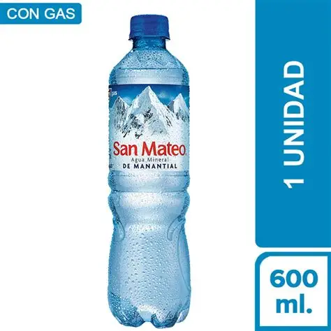 AGUA SAN MATEO CON/GAS  600ML