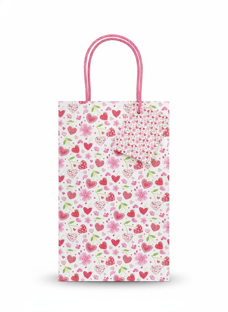 BOLSA DE REGALO N* 1 DE 2 SOLES