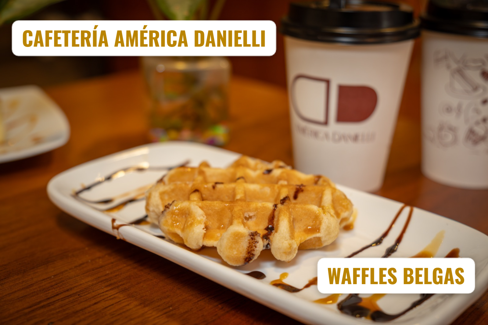 WAFFLES IMPORTADOS DE BELGICA