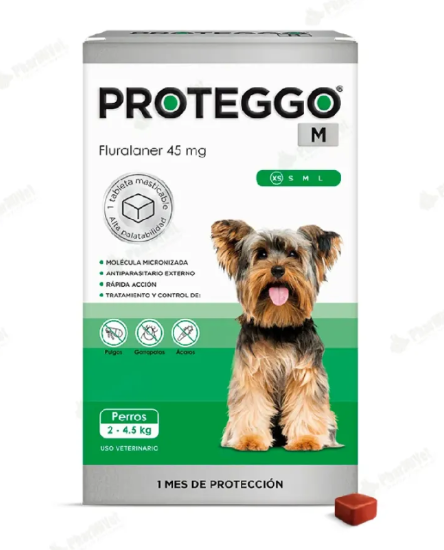 PROTEGGO 1M 
