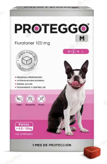 PROTEGGO 1M 