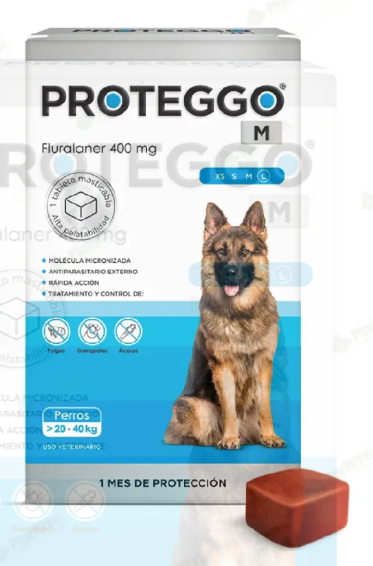 PROTEGGO 1M