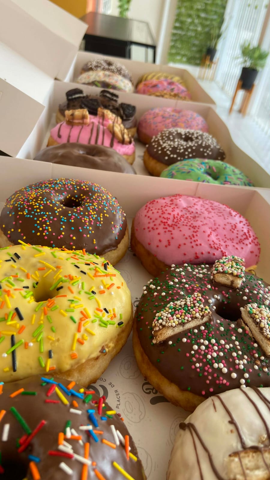 Pack de 12 donas variadas