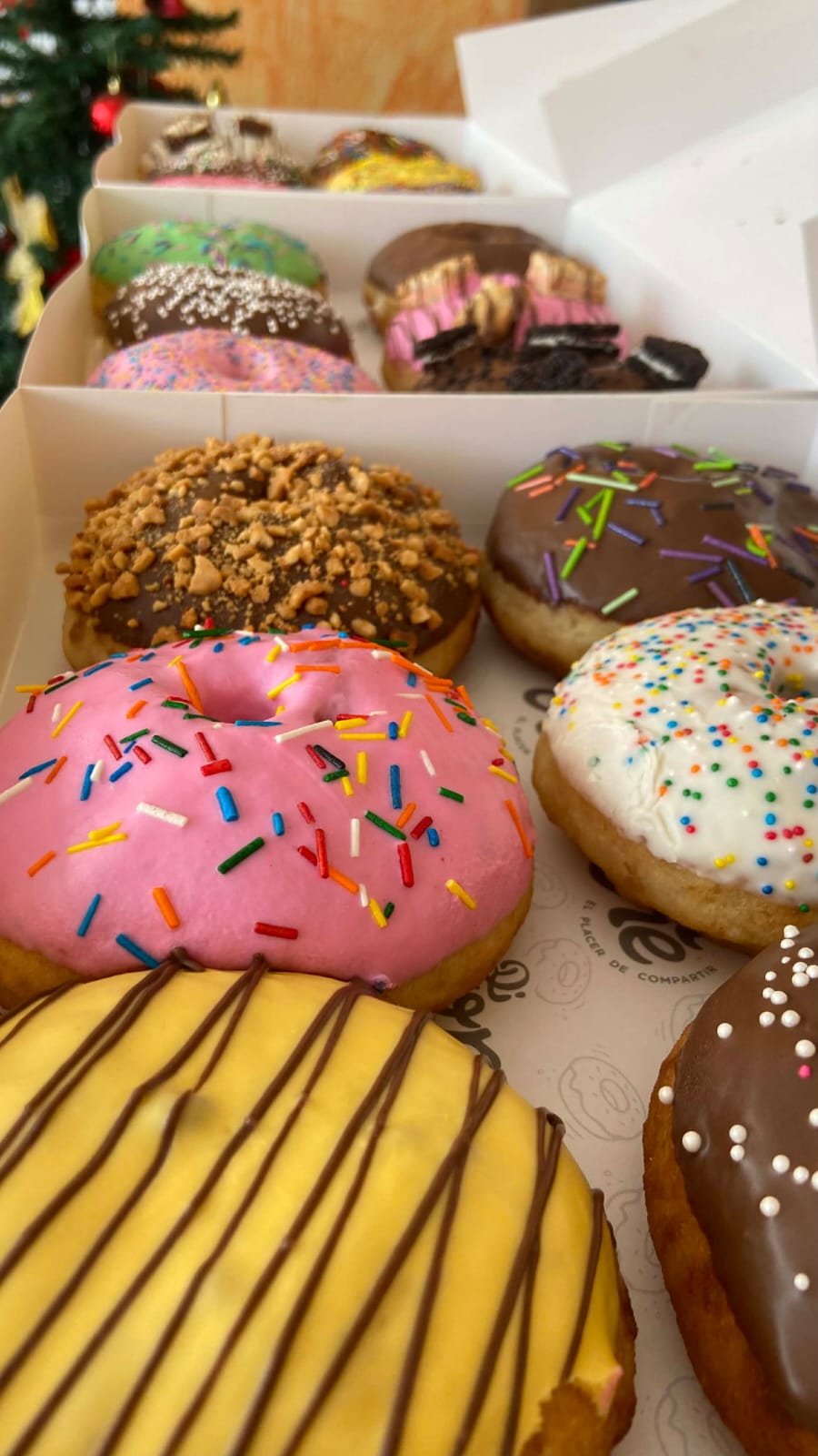 Pack de 12 donas premium