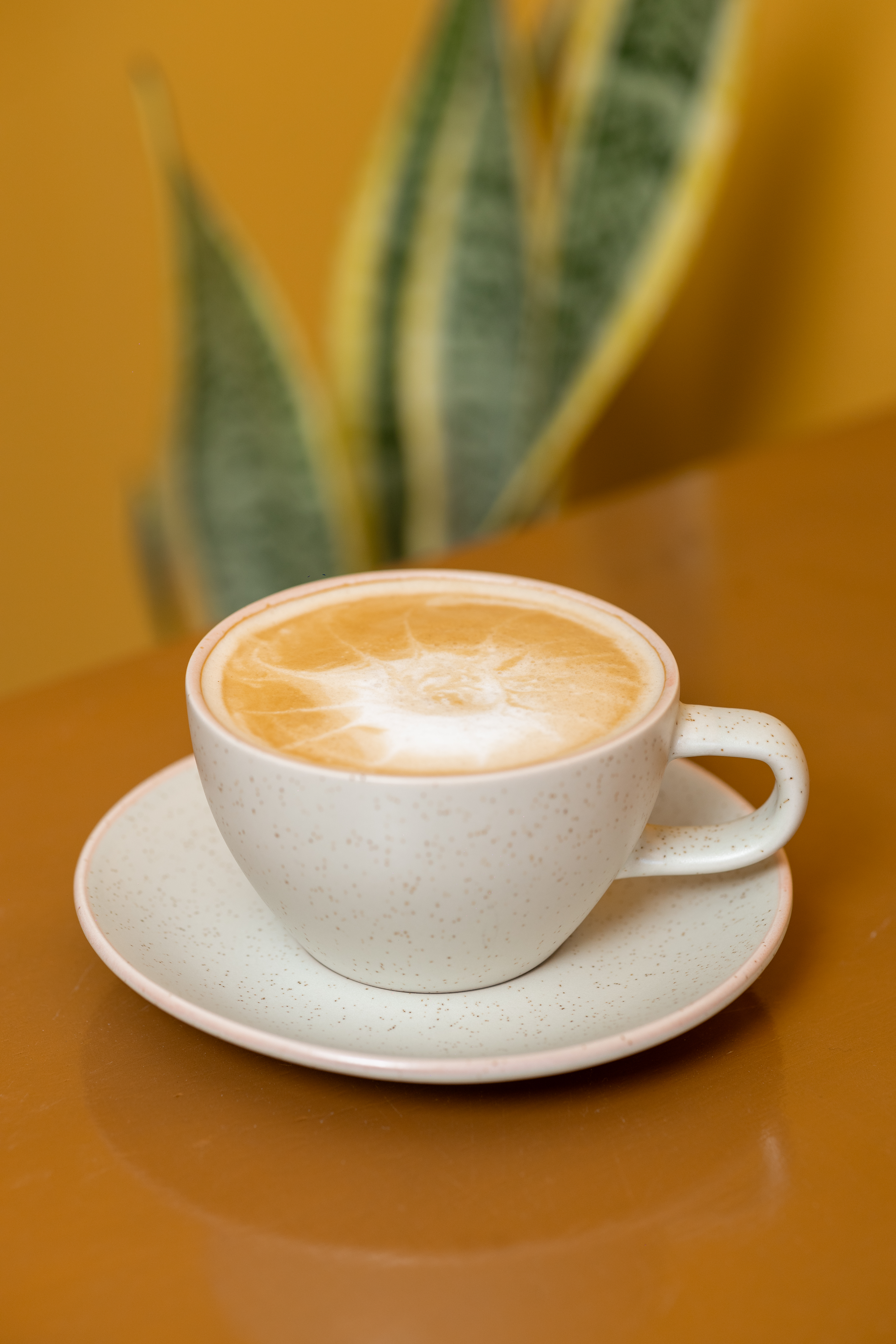 Capuccino