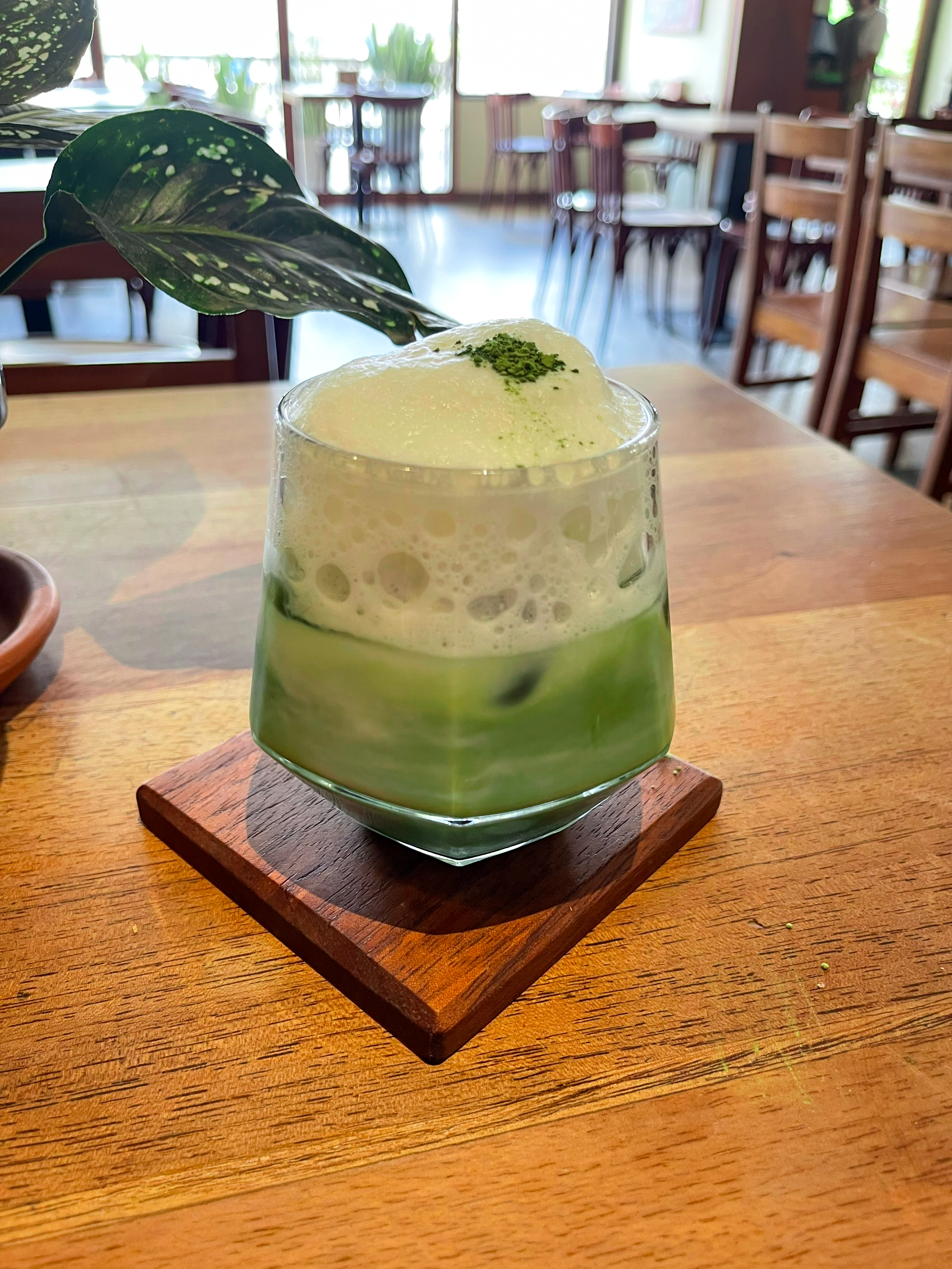 Iced Matcha Latte